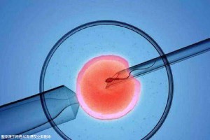 清砚堂中医馆